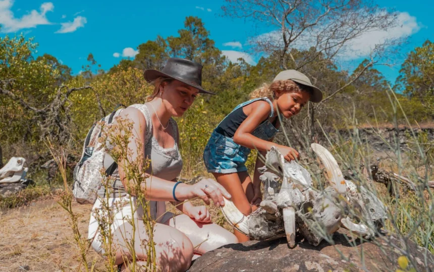 Tanzania Solo Safari